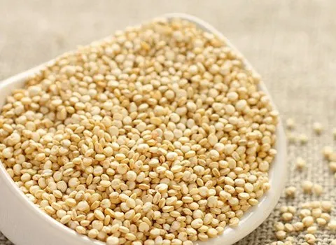 مشخصات کینوا سفید ایرانی و نحوه خرید عمده