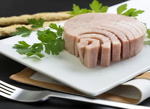 بهترین قیمت خرید کنسرو تن ماهی سالی