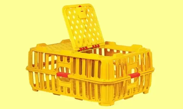 خرید و قیمت سبد پلاستیکی حمل جوجه