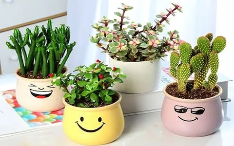 مشخصات گلدان سرامیکی فانتزی + قیمت خرید