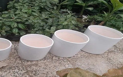 قیمت گلدان سرامیکی سفید + پخش تولیدی عمده کارخانه