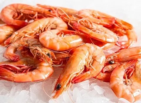 خرید انواع میگو جنوب با بهترین قیمت