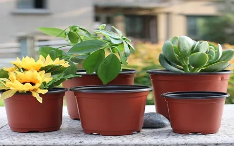 قیمت گلدان پلاستیکی نشایی + پخش تولیدی عمده کارخانه