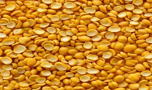 خرید عمده لپه تبریزی با بهترین شرایط