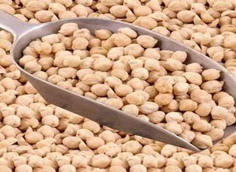 بهترین نخود سفید صادراتی + قیمت خرید عالی