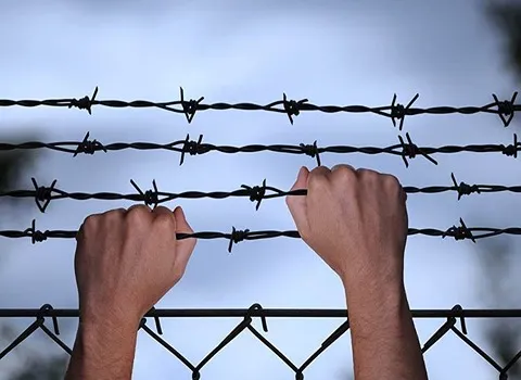 سیم خاردار در کرمانشاه Barbed wire فلز حلقه ای صاف + نصب آسان