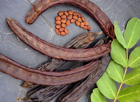 قیمت دارو گیاهی خرنوب