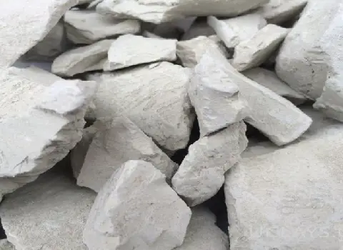 بنتونیت در خوراک دام و طیور؛ بهبود هضم ماده آلی پروتئین فیبر Bentonite