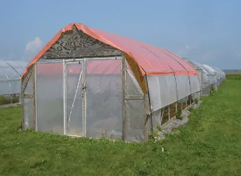 نایلون گلخانه ای چیست + قیمت خرید