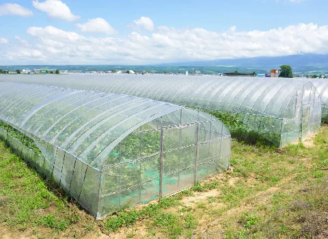 نایلون گلخانه عرض 10 | خرید با قیمت ارزان