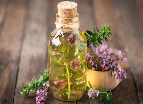 قیمت گیاه آویشن باغی + خرید