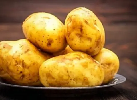 خرید باکیفیت ترین انواع سیب زمینی با قیمت ارزان