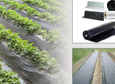 خرید جدیدترین انواع نایلون مالچ در قیمت های متنوع