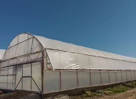 معرفی انواع نایلون گلخانه + قیمت خرید روز