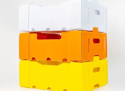 قیمت جعبه میوه کارتن پلاست + پخش تولیدی عمده کارخانه