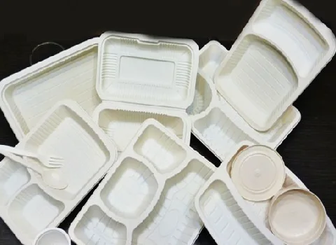 ظروف یکبار مصرف پلاستیکی؛ 3 نوع گیاهی درب دار بسته بندی