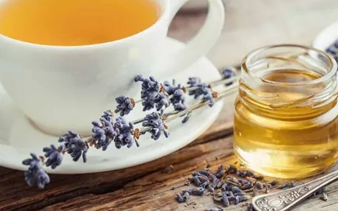 لیست قیمت دمنوش گیاه اسطوخودوس به صورت عمده و با صرفه