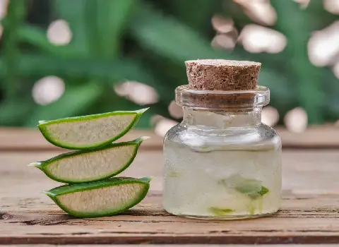 ماسک مو آلوئه ورا | فروشندگان قیمت مناسب ماسک مو آلوئه ورا