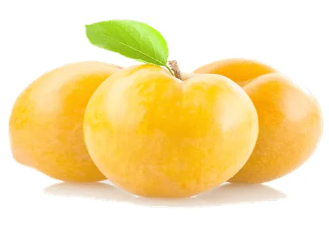 آلو بخارای زرد آشنایی صفر تا صد قیمت خرید عمده