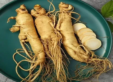 قیمت گیاه دارویی جنسنیگ از تولید به مصرف