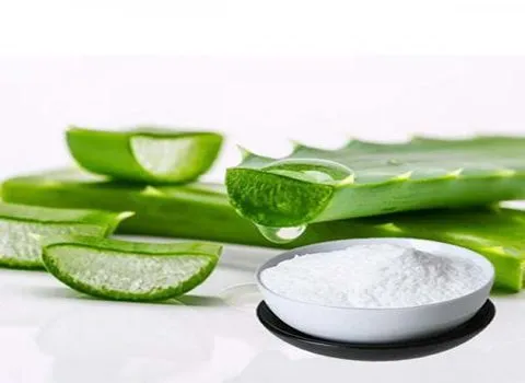 قیمت و خرید پودر آلوئه ورا خوراکی با مشخصات کامل