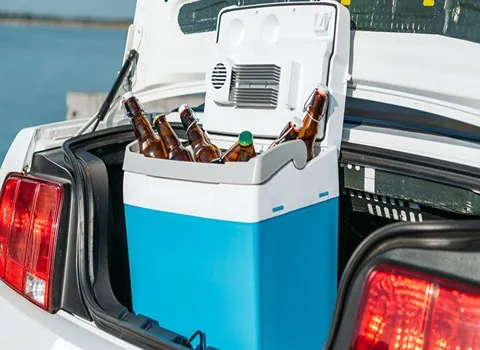 مشخصات یخچال خودرو ارزان و نحوه خرید عمده