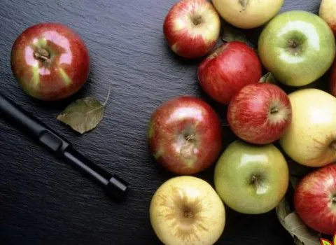 معرفی سیب درختی ممتاز + بهترین قیمت خرید