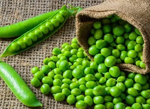 نخود سبز فریز شده؛ کنسرو سرد تر (پتاسیم آهن فیبر پروتئین) ارگانیک