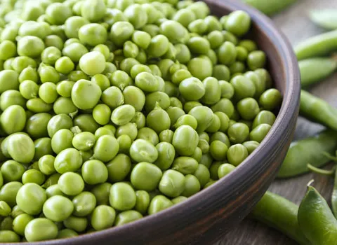 بهترین قیمت خرید نخود سبز خشک