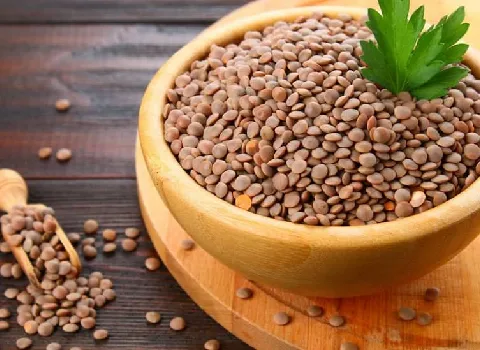 خرید قیمت عدس دانه درشت با قیمت استثنایی