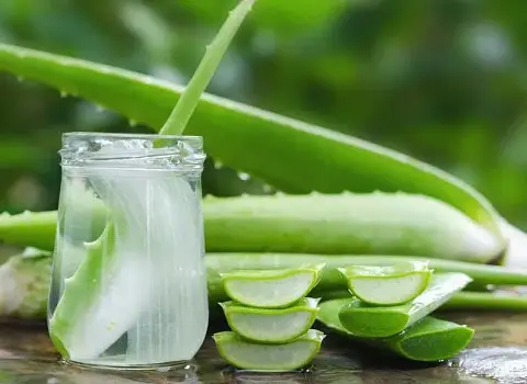 قیمت و خرید ژل آلوئه ورا خانگی با مشخصات کامل