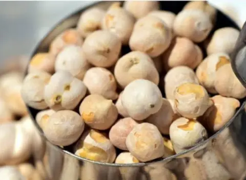 قیمت نخود ارگانیک