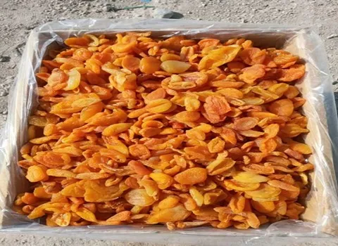 خرید عمده برگه زردآلو آفتاب خشک با بهترین شرایط
