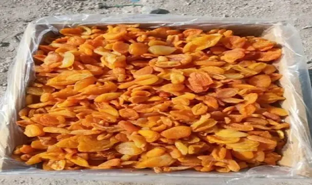 خرید عمده برگه زردآلو آفتاب خشک با بهترین شرایط