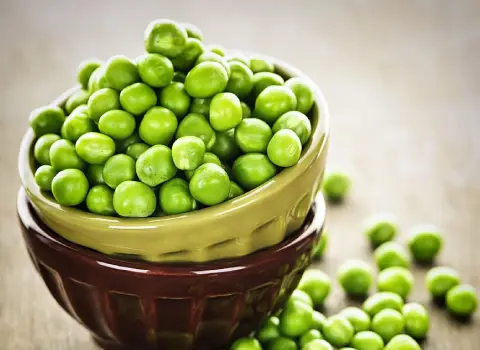 خرید و قیمت روز نخود فرنگی تازه