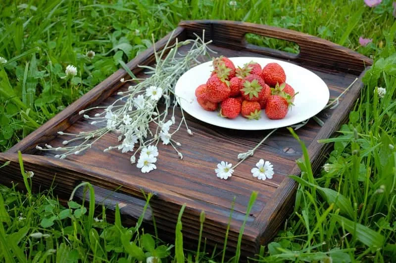 سینی چوبی ضد آب؛ رزین چای پذیرایی دکوراتیو مقاوم برابر ضربه (2*30*44 سانتی متر)