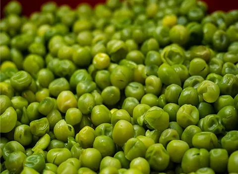 خرید انواع نخود فرنگی کنسرو + قیمت