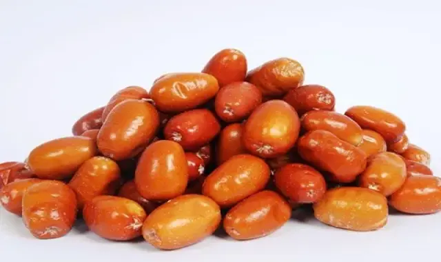 قیمت سنجد تازه + خرید و فروش سنجد تازه عمده