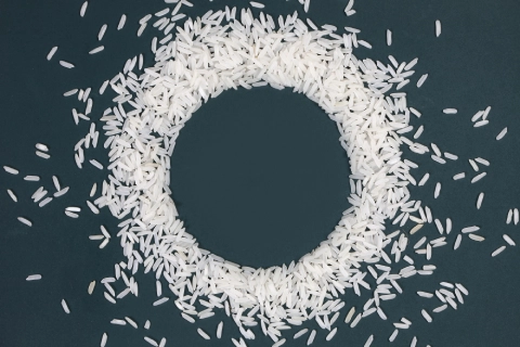 راهنمای خرید برنج محلی یاسوج با شرایط ویژه و قیمت استثنایی