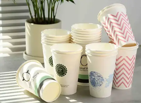 آموزش خرید لیوان کاغذی سایز بزرگ صفر تا صد