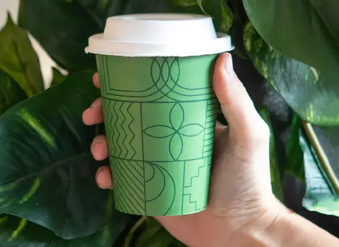 مشخصات لیوان کاغذی سبز و نحوه خرید عمده