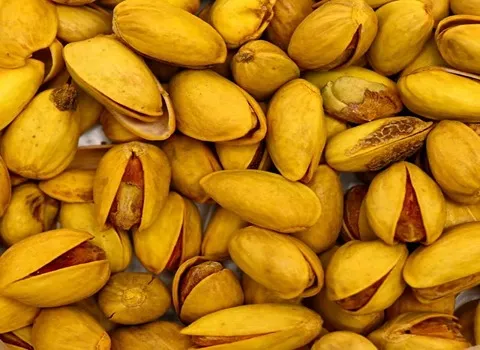 آموزش خرید پسته اکبری زعفرانی صفر تا صد