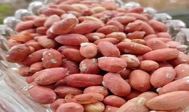 مشخصات بادام زمینی عمده تهران و نحوه خرید عمده