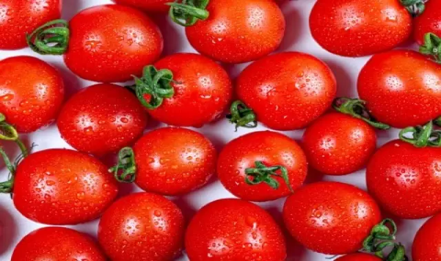 گوجه صادراتی شیراز؛ بوته ای گلخانه ای حاوی فولات پتاسیم ویتامین K