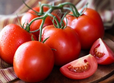 گوجه فرنگی شیراز؛ گلخانه ای عدم استفاده مواد شیمیایی حاوی Vitamin