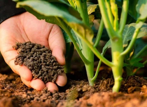 خرید انواع کود ارگانیک با بهترین قیمت