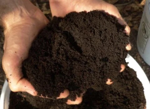 قیمت خرید کود ارگانیک درختان + خواص، معایب و مزایا