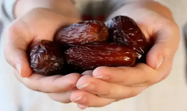 راهنمای خرید خرما مجول با شرایط ویژه و قیمت استثنایی