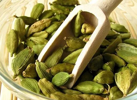 مرجع قیمت انواع هل سبز پاکتی + خرید ارزان