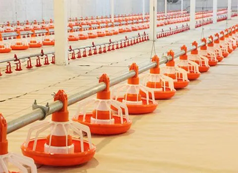 دانخوری بشقابی اتوماتیک آشنایی صفر تا صد قیمت خرید عمده